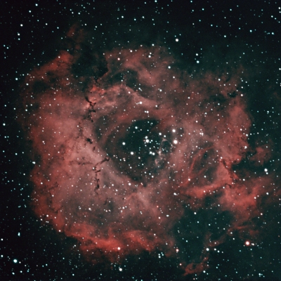 20231121-Rosette-St-PS.jpg
