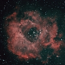 20231121-Rosette-St-PS.jpg